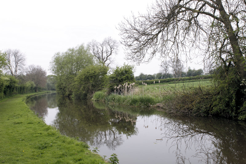 Trent & Mersey Canal Trent & Mersey Canal
